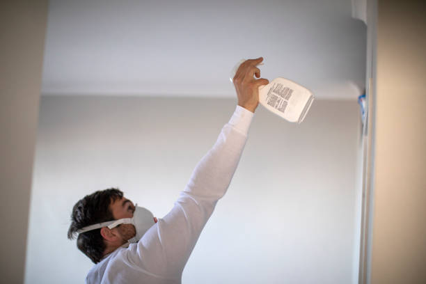 Best Preventive Mold Services in Mbrian Park, CA